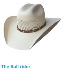 Bullrider